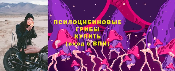 соль курить ск Переславль-Залесский