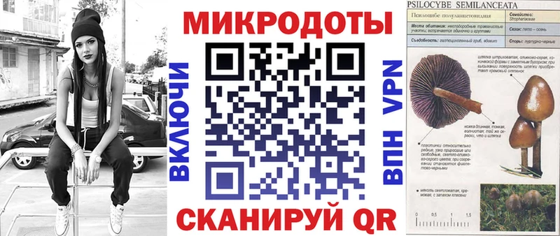 Купить  Алапаевск  Псилоцибиновые грибы Psilocybe 